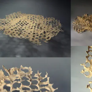 陶艺作品《浮》作者-陈进群